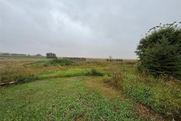Another angle of the open field, highlighting the natural landscape and vegetation. - 227 Weir (holmfield) Street, Killarney