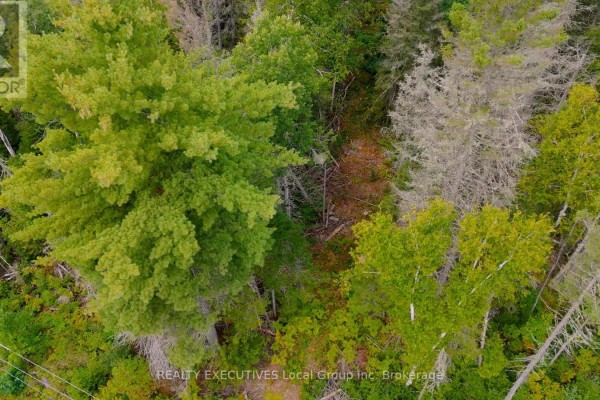 2275 Widdifield Station Road, North Bay, ON P1B8G2 Photo 4