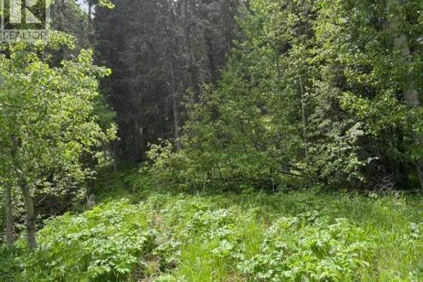 229 Mountain Lion Drive, Bragg Creek, AB T0L0K0 Photo 2
