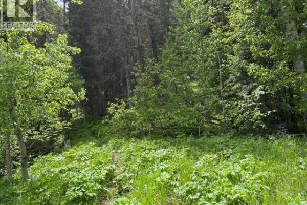 229 Mountain Lion Drive, Bragg Creek, AB T0L0K0 Photo 3