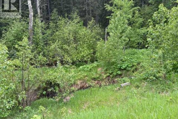 229 Mountain Lion Drive, Bragg Creek, AB T0L0K0 Photo 4