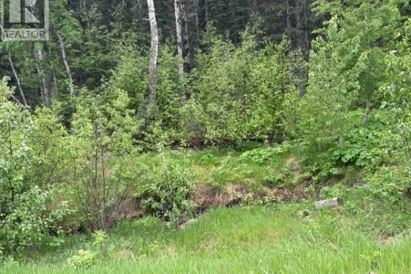 229 Mountain Lion Drive, Bragg Creek, AB T0L0K0 Photo 5