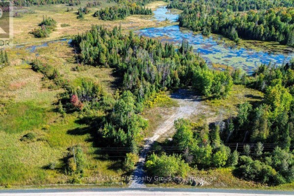 22934 62 Highway S, Limerick, ON K0L1W0 Photo 5