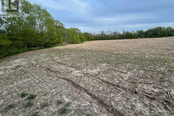 2299 Baseline Road W, Clarington, ON, photo 3