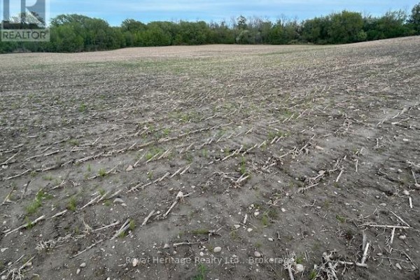 2299 Baseline Road W, Clarington, ON L1C6G4 Photo 4