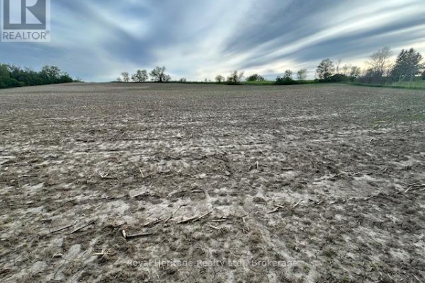 2299 Baseline Road W, Clarington, ON L1C6G4 Photo 5