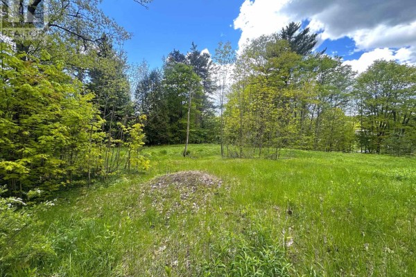 22a Lock Street, Seguin, ON, photo 2