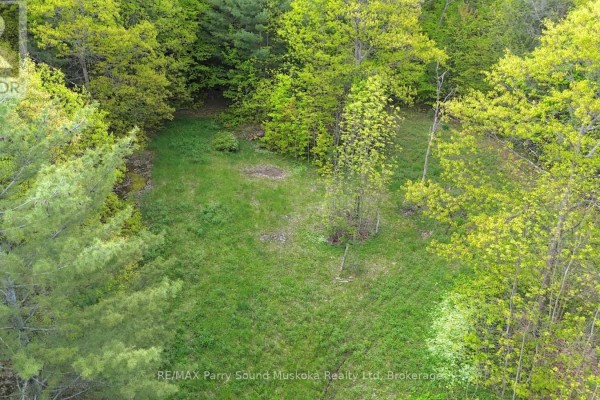 22a Lock Street, Seguin, ON, photo 3
