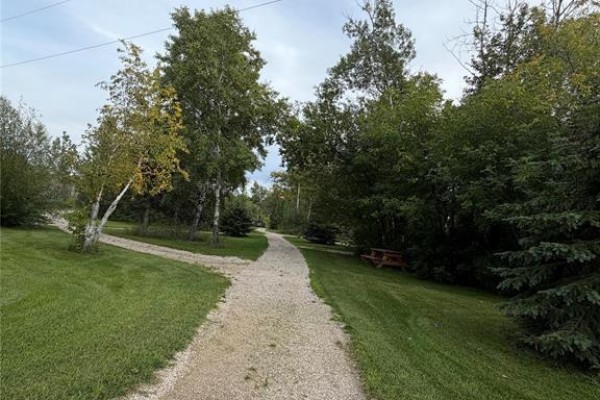 A winding gravel pathway leads through a grassy area with birch trees and evergreen shrubs. - 23 1st Avenue S, Ashern