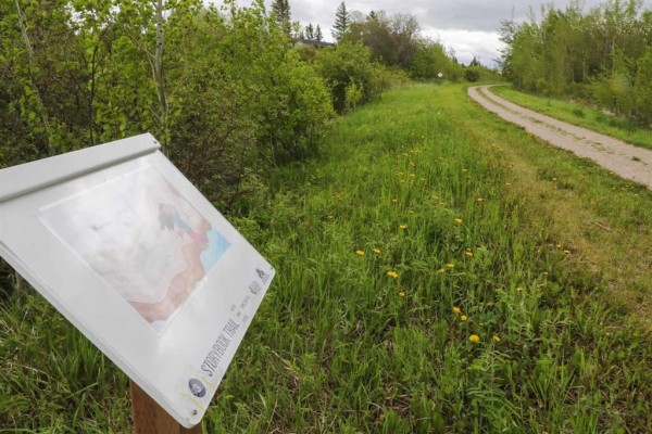 23 1st Street Sw, Erickson, MB R0J0P0 Photo 3