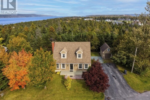 Recreation room - 23-25 Heneys Pond Road, Bay Roberts, NL A0A1G0 Photo 2