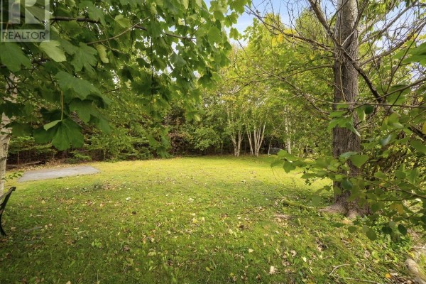 Bedroom - 23-25 Heneys Pond Road, Bay Roberts, NL A0A1G0 Photo 5