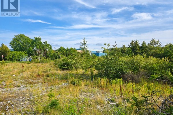 21 Hiscock's Lane, Conception Bay South, NL A1W5C2 Photo 4