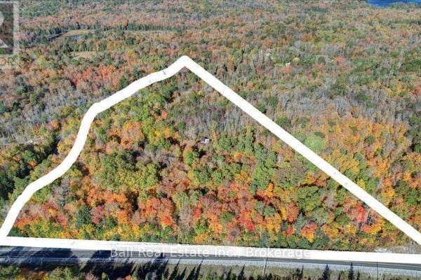 23 Concession 18 Road, North Kawartha, ON K0L1A0 Photo 4