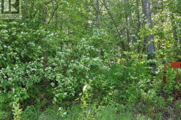 23 Delaronde Way (john Dunn Estates), Delaronde Lake, SK, photo 2