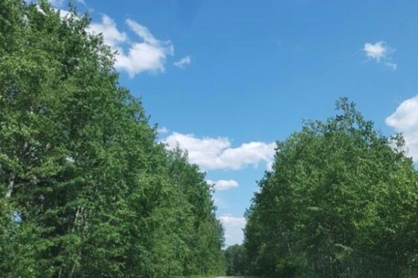 23 Delaronde Way (john Dunn Estates), Delaronde Lake, SK S0J0E0 Photo 5
