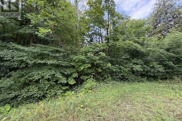 23 Front Street, South Bruce Peninsula, ON, photo 2