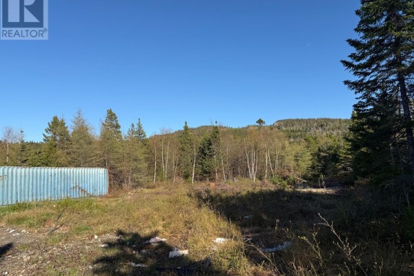 View down a gravel driveway with a power pole on the left and small buildings on the right. - 23 Hodgewater Line, South River