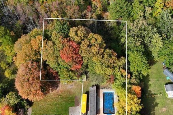 23 King Street E, Havelock Belmont Methuen, ON K0L1Z0 Photo 3
