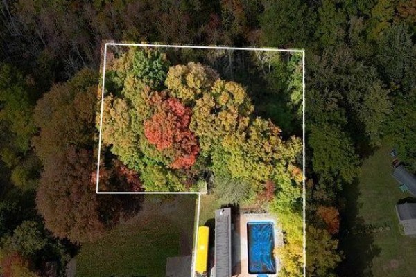 23 King Street E, Havelock Belmont Methuen, ON K0L1Z0 Photo 4