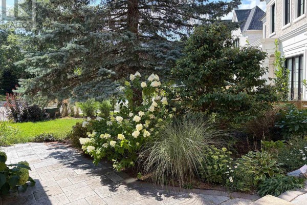 23 Lacey Court, Aurora, ON L4G5G3 Photo 2