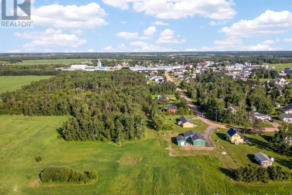 Aerial view showing the property and surrounding area, with snow-covered fields and nearby residential buildings. - 23 Park Avenue, O Leary