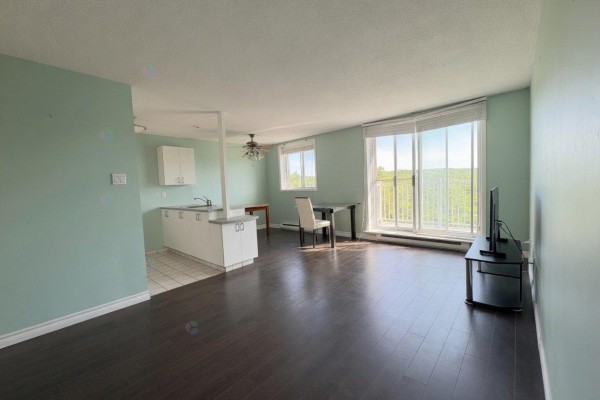 Dining room - 23 Rue De La Soeur-jeanne-marie-chavoin, #510, Gatineau, QC J8Z1V9 Photo 3