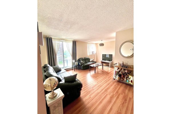 Living room - 23 Rue De La Soeur-jeanne-marie-chavoin, #517, Gatineau, QC J8Z1V9 Photo 3