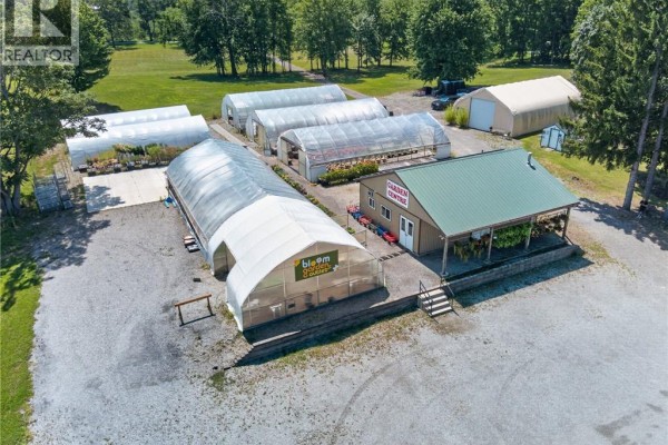 230 Hwy 20 E, Thorold, ON L0S1E6 Photo 4