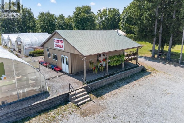 230 Hwy 20 E, Thorold, ON L0S1E6 Photo 5