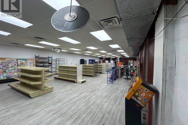 230 Kenilworth Avenue N, Hamilton, ON L8H4S2 Photo 3