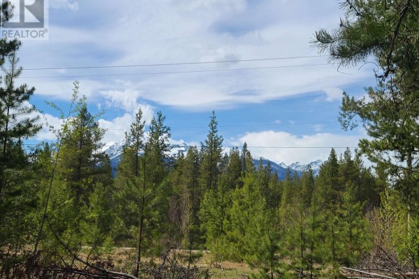 2300 Main Street, Valemount, BC, photo 2