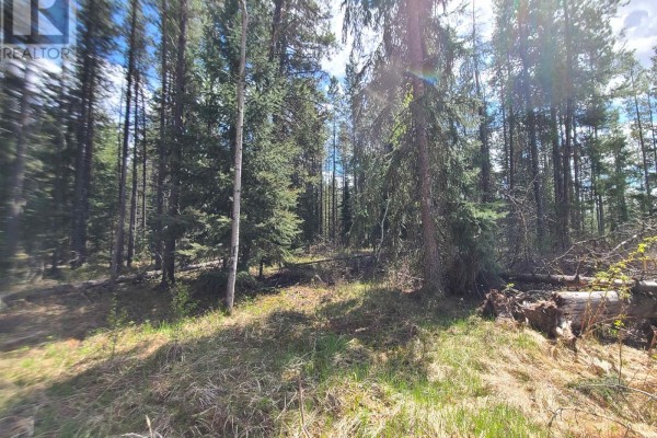 2300 Main Street, Valemount, BC, photo 3