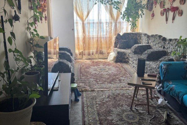 Living room with patterned sofas, rugs, a television, and plants. - 2309 - 390 Dixon Road, Toronto