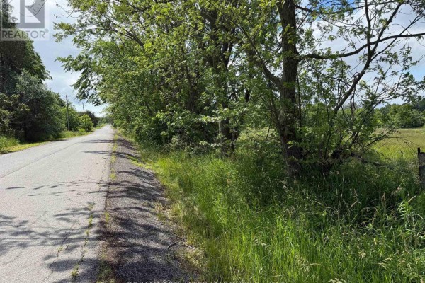 231 Wellington ( Pin-451060369) Street, Greater Napanee, ON K0K1G0 Photo 5