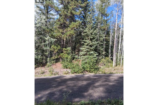 23336 Howells Road, Topley, BC V0J2N0 Photo 2