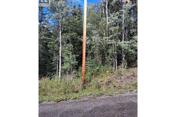 23336 Howells Road, Topley, BC V0J2N0 Photo 3