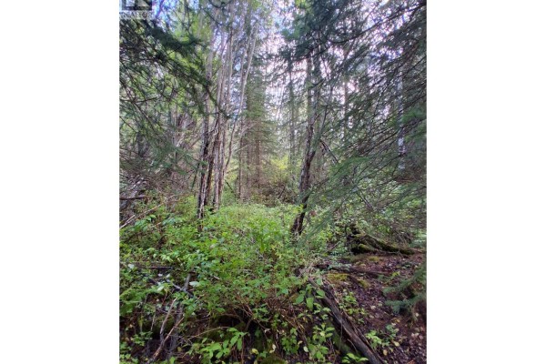 23336 Howells Road, Topley, BC V0J2N0 Photo 4