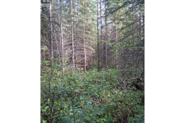 23336 Howells Road, Topley, BC V0J2N0 Photo 5