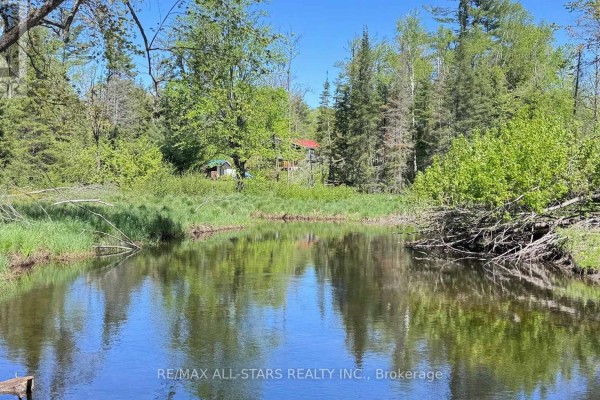 Small buildings and trees reflected in a calm, wide creek on the property. - 2348 Northeys Bay Road, North Kawartha