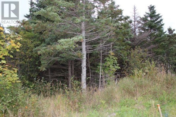 235-241 Beachy Cove Road, Portugal Cove St  Philip S, NL, photo 3