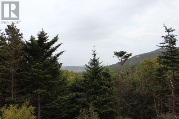 235-241 Beachy Cove Road, Portugal Cove St  Philip S, NL A1M1Z4 Photo 4