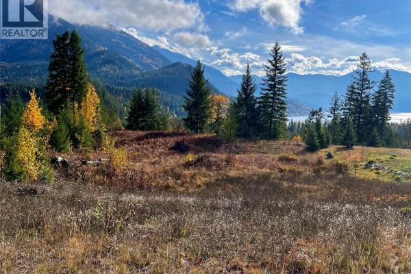 235 Fullmoon Road, Rosebery, BC V0G1S1 Photo 4