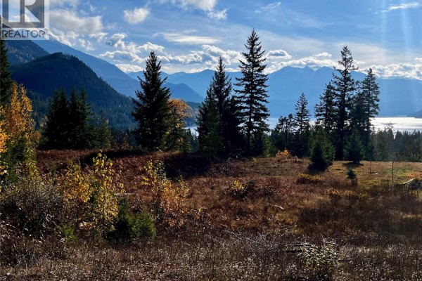 235 Fullmoon Road, Rosebery, BC V0G1S1 Photo 5