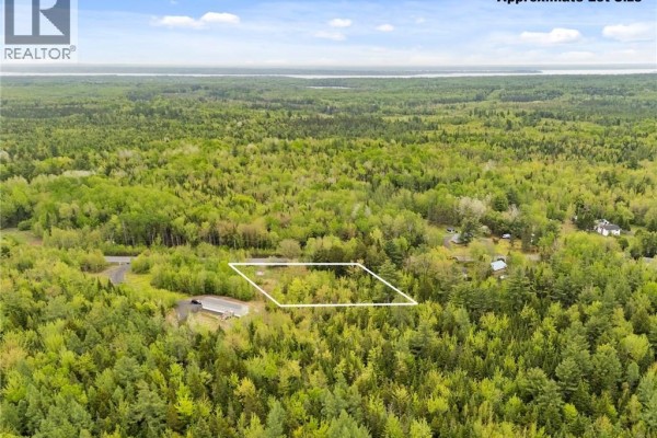 219/235 Post Road, Minto, NB E4B3A3 Photo 4