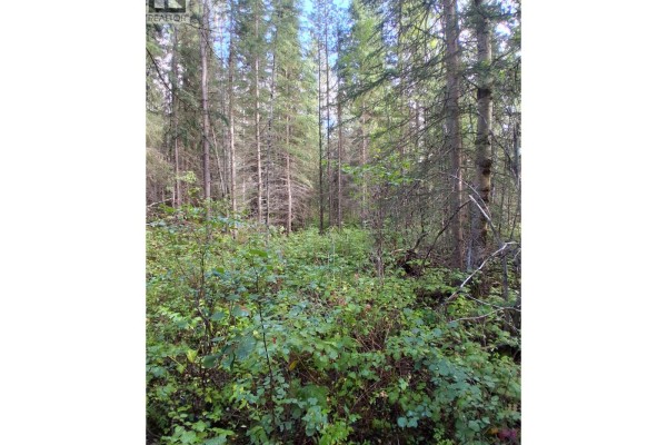 23512 Howells Road, Topley, BC V0J2N0 Photo 4