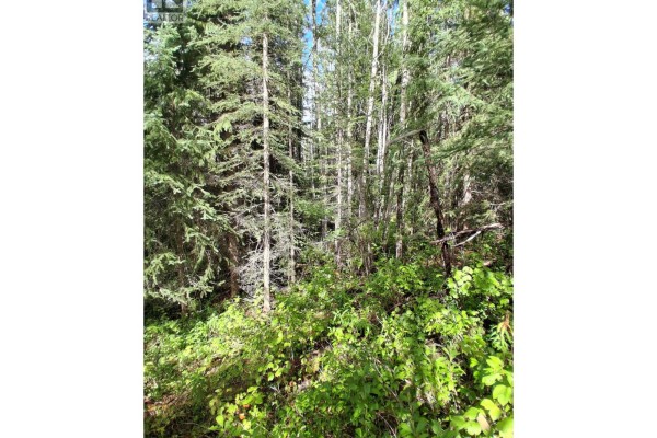 23512 Howells Road, Topley, BC V0J2N0 Photo 5