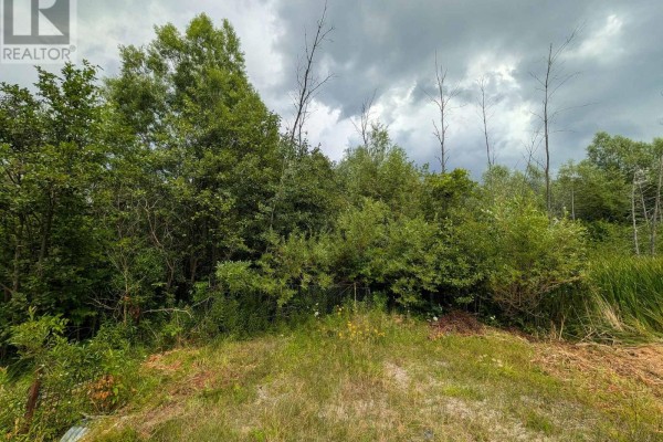 2361 George Johnston Road, Springwater, ON, photo 3