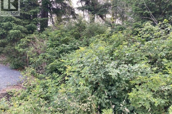 2364 French Rd, Sooke, BC V9Z0M5 Photo 4