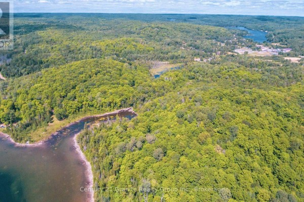 Aerial view of expansive forested area with open spaces and varying tree heights. - 2368 Essonville Line Road, Highlands East